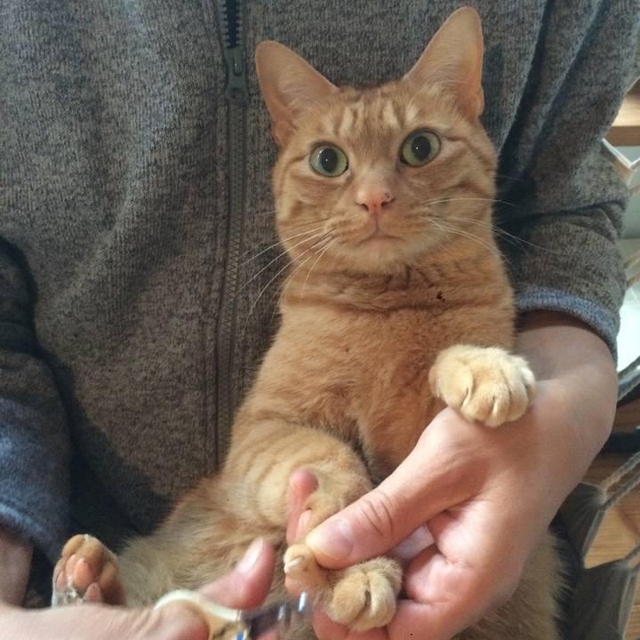 16465705 bbe2 44ae 8643 8282ef9e5cc0 1580774469585