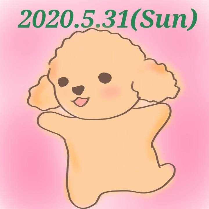16468645 64b0 479b b07b a4fb7dd36cbd 1590932908547