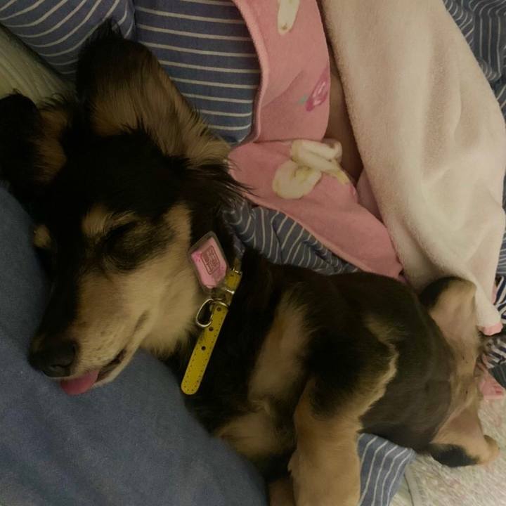 16468a3f f4b0 48dd 9c50 93595b7cb645 1596844101517