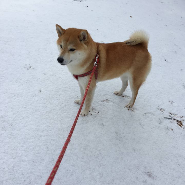 16469159 a5c2 43ec b0d8 5a6246acb53e 1517881699434