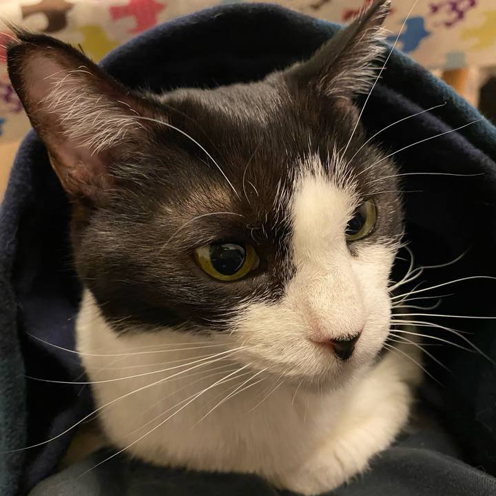 16469774 9d40 4d48 aa5e 5ab04e7649fc 1738847166856