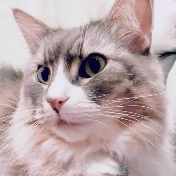 1646a79e e038 4ec3 885f 8935a7aded31 1765552412470