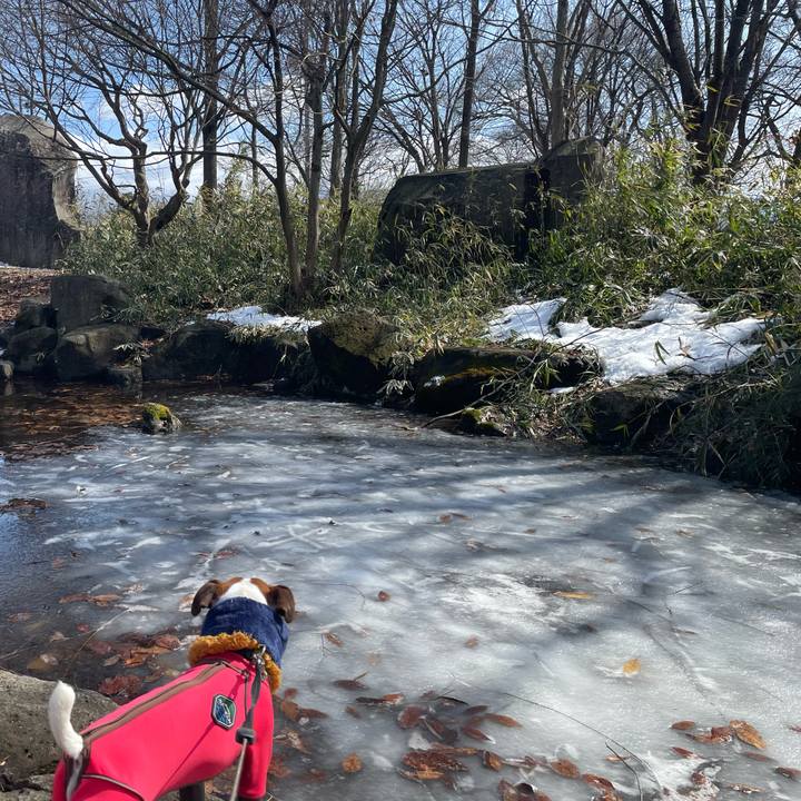 1646baf6 4f11 4be0 90dd a74e746aebab 1646641607423