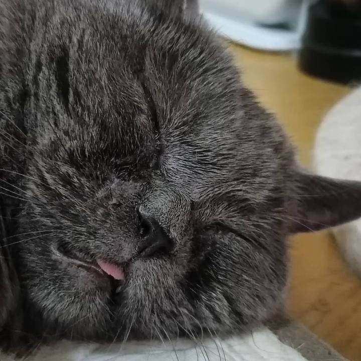 1646c2fb 44a2 4037 ae7b 729bba51e401 1758179804821