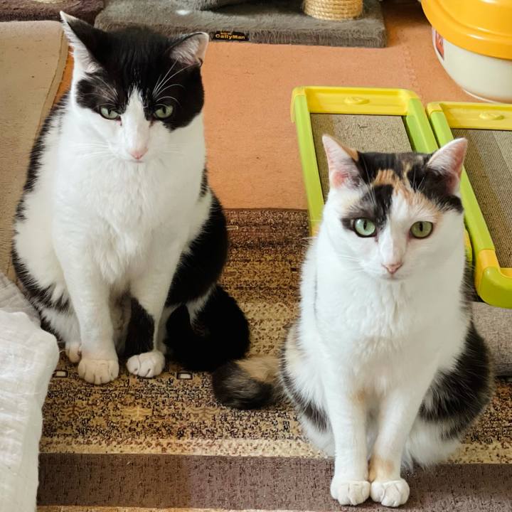 1646e4d5 bb8c 4eab a590 000d3f8fbf48 1628122935902