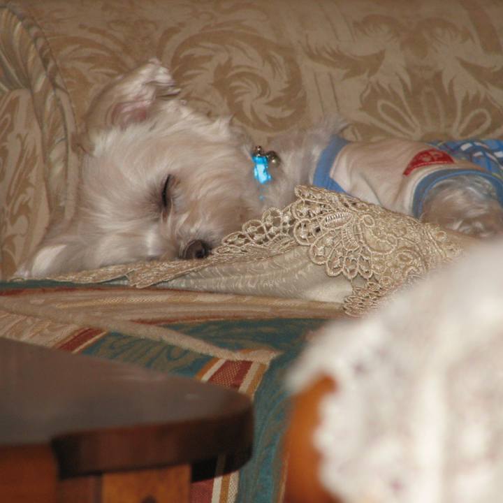 1646e6ed fdeb 42df 9fde a1516c315a07 1565656283675