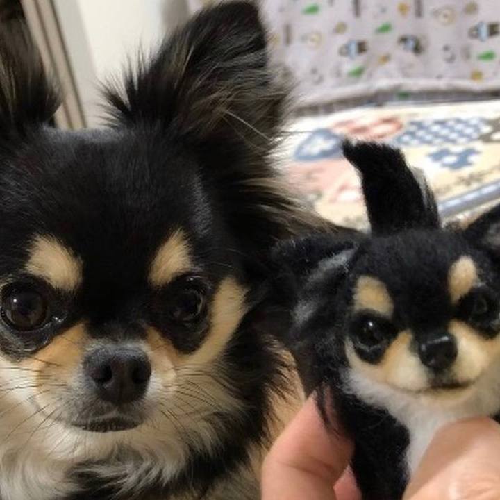 1646efe8 2a20 4f18 89a1 cb97a084cff4 1624970882155