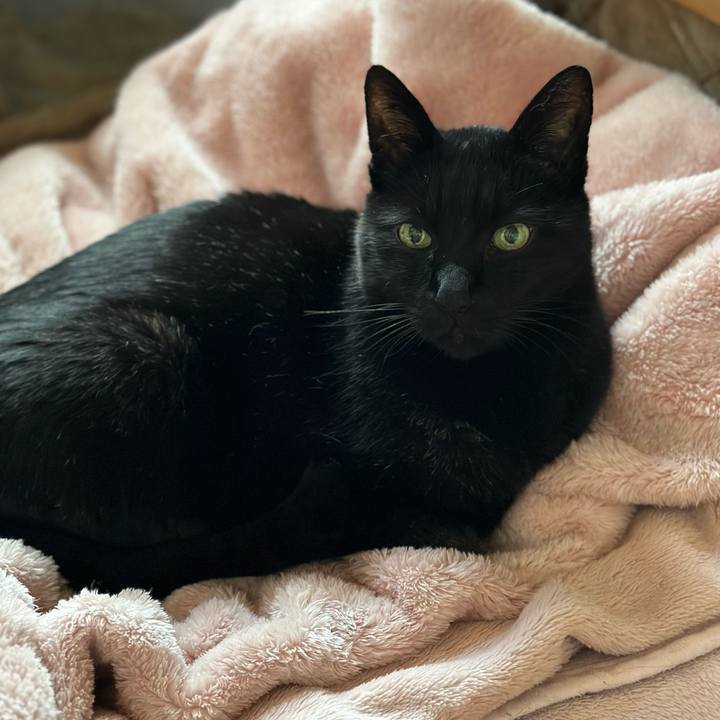 1646f6f5 a6d1 45a1 9b21 7fde098cda03 1671065554851