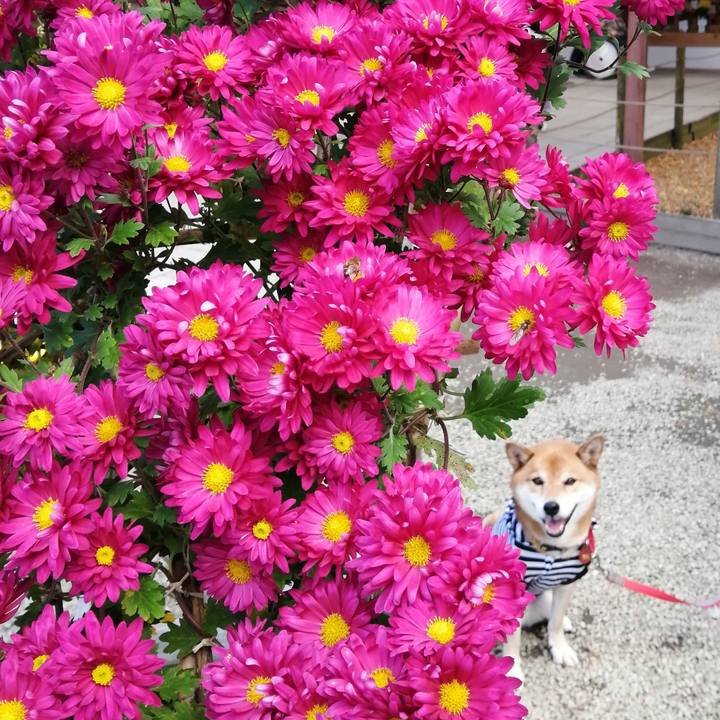 1646fd6f 44d3 49d9 a9af 5c47c58a53a7 1606045096025