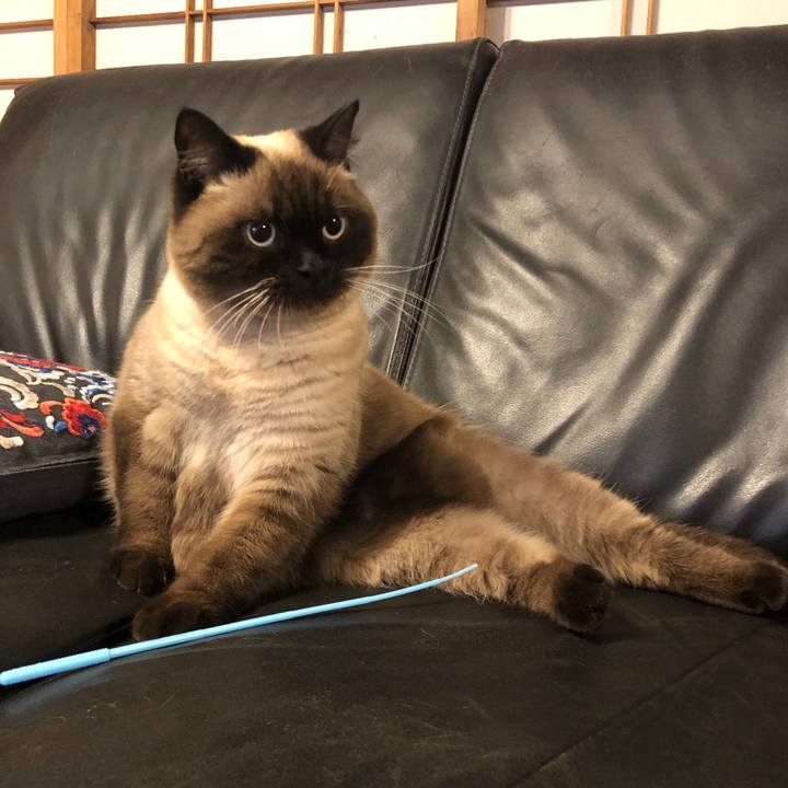 16472c8d be19 4f21 a835 e5cba9aaf775 1611579113642