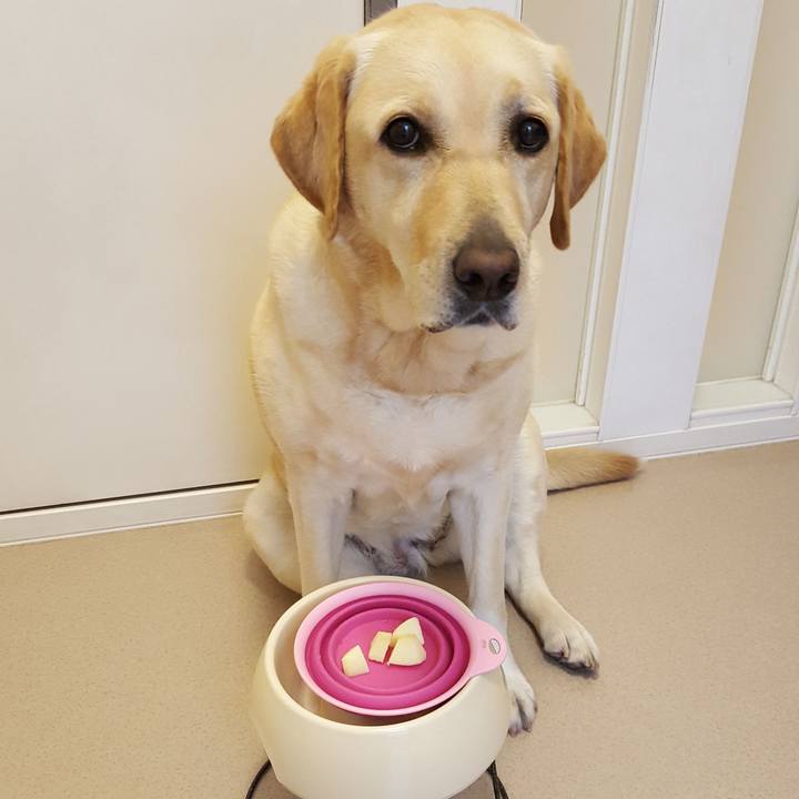 16473720 015a 45ad 9800 44d2e31bcf68 1526527914379