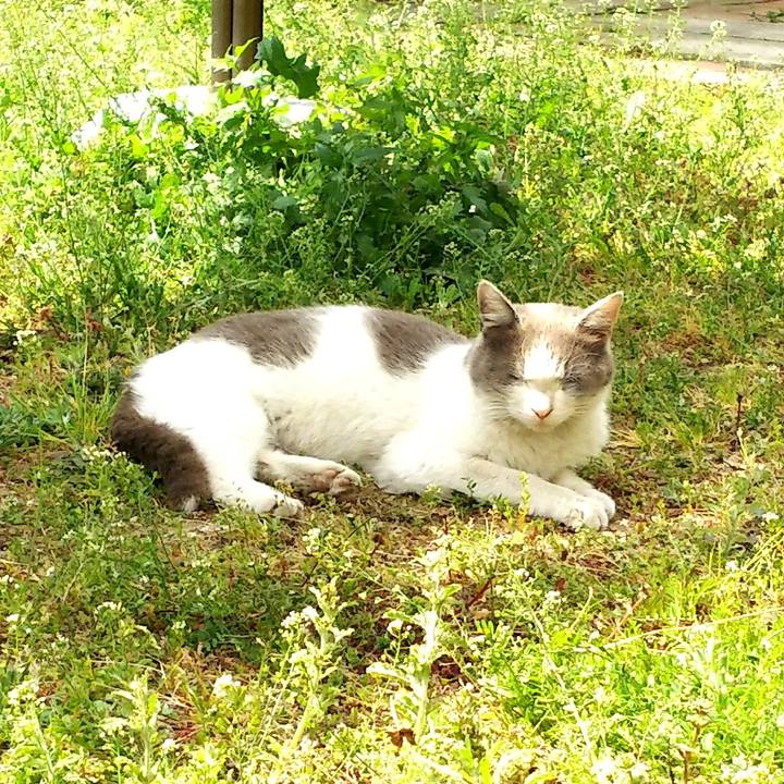 1647630f 0f9e 4817 8081 e9b6eacc4198 1553655407035