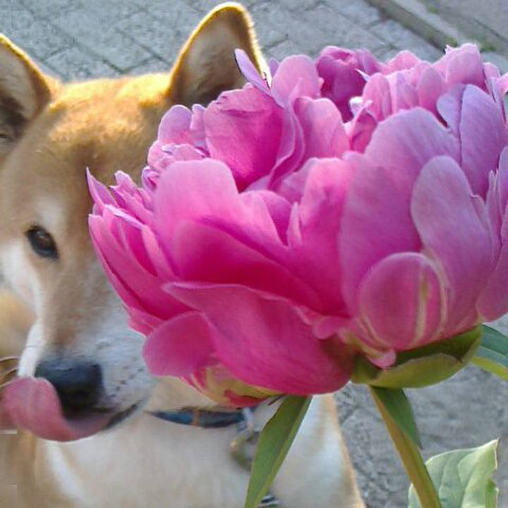 16476611 364f 46d6 b02e f0d7f52b715f 1525483510464