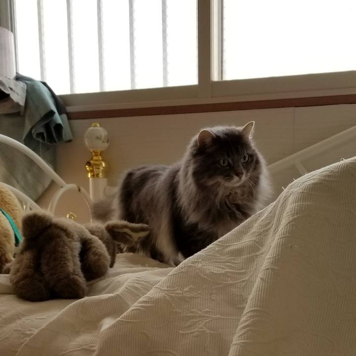 16479963 beb8 40bb 8716 16c370c418d7 1552430509632