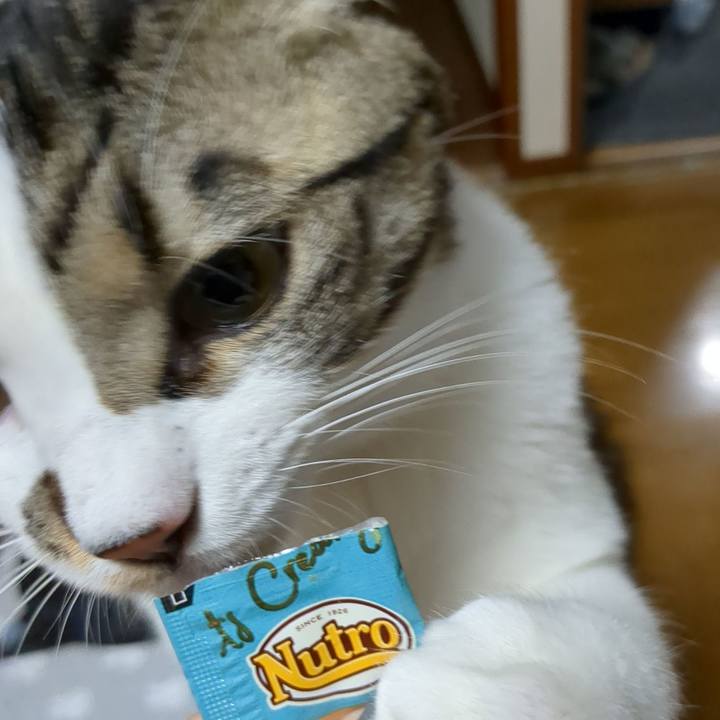 1647a17d 9796 436d 8166 e93266acad96 1675602288603