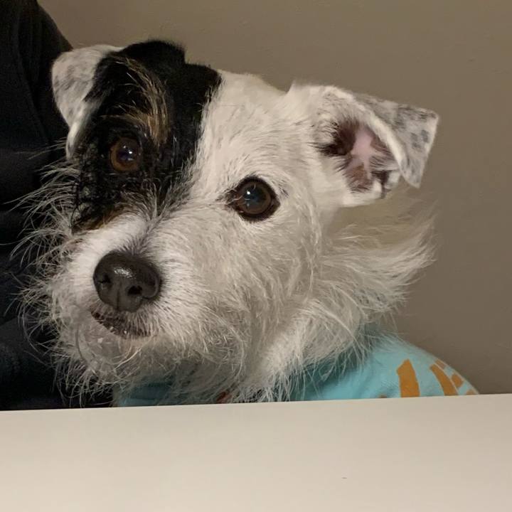 1647d7ce 7fb3 462b b081 00945550217e 1644836862352