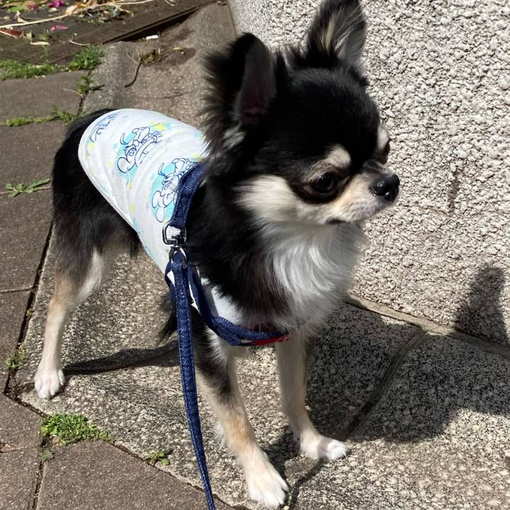 1647f062 a437 4dae 9a38 e1587e924e5c 1620015092479