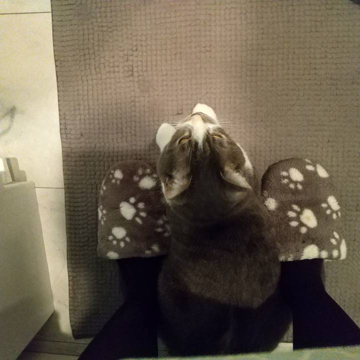 16480c7c 549a 45ce 96e9 9cbf79e9f195 1607896921085