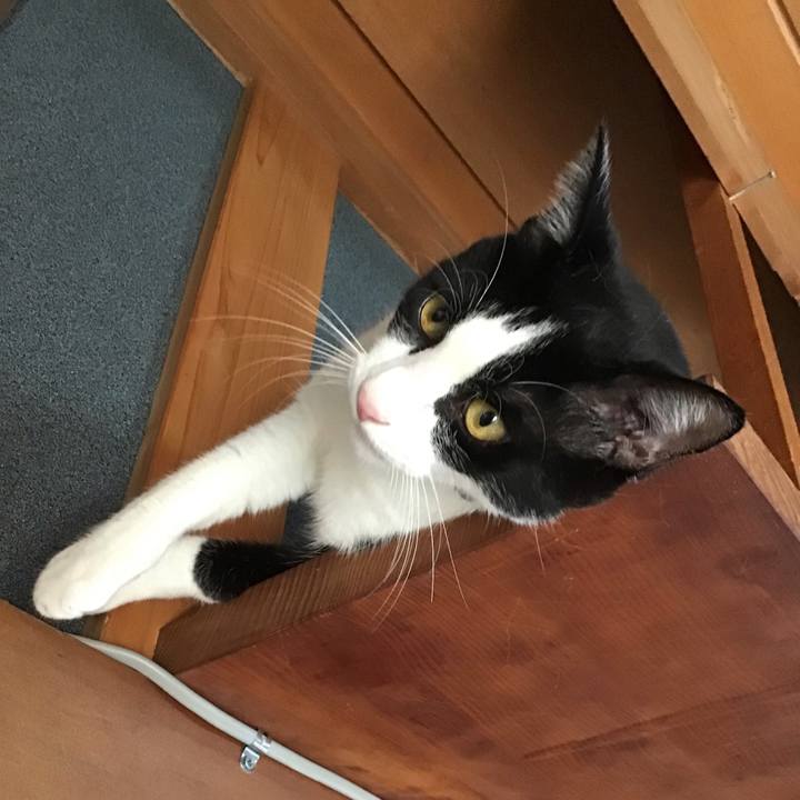 164817b3 f07e 45e3 820a cb35e09d2263 1662459836853