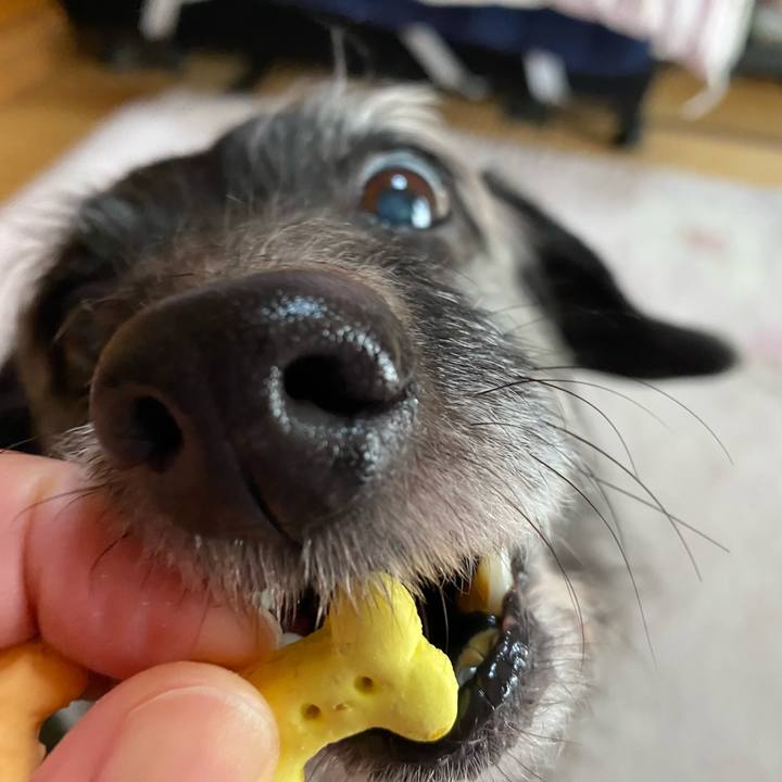 16483121 2592 44e2 ae0a 652056aa9e95 1707519480572