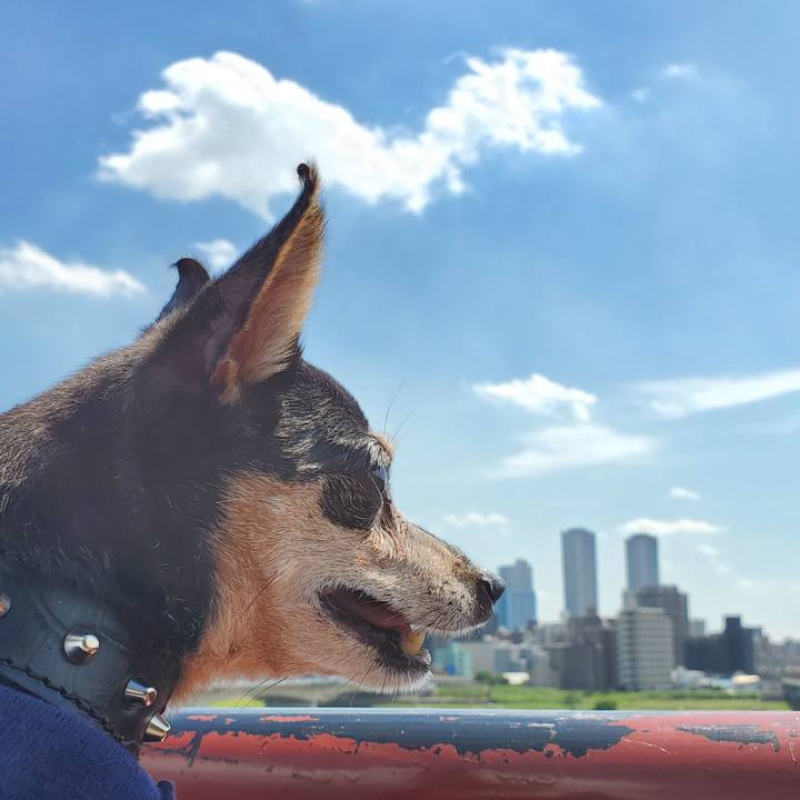 1648367e e7a7 4775 b54d 1d54a818e205 1688657288530