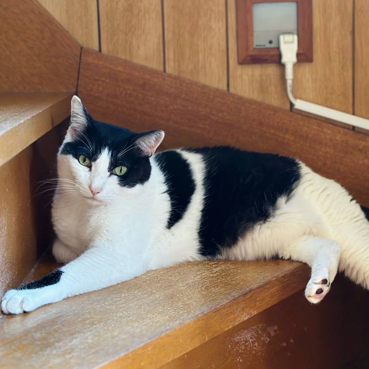 164849fc 963f 4c2e ba82 d33713e82488 1718931993265