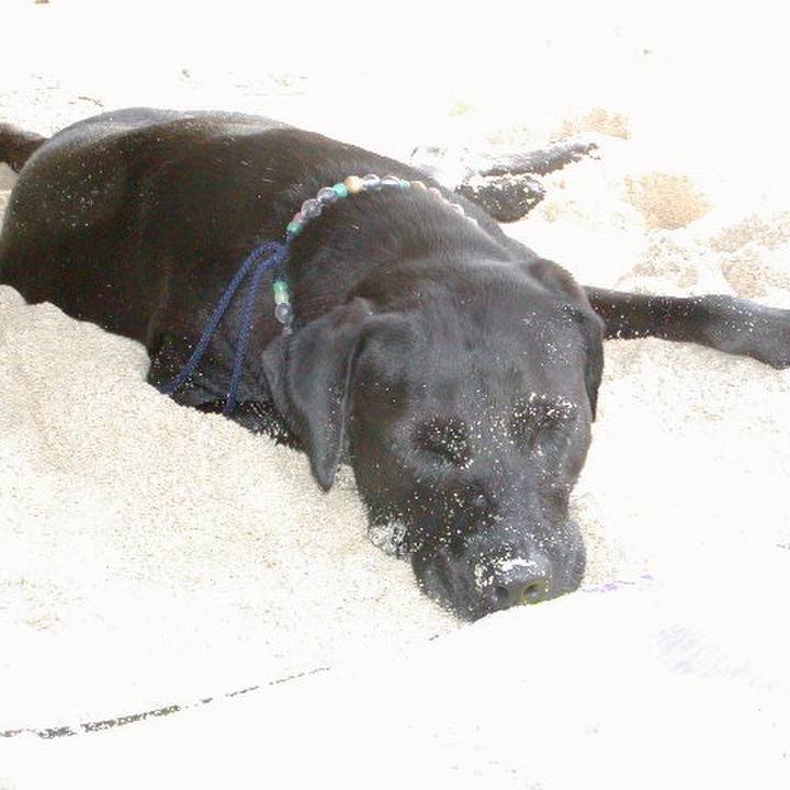 16484d25 264c 4086 afd4 28b3a40f8843 1521550663582