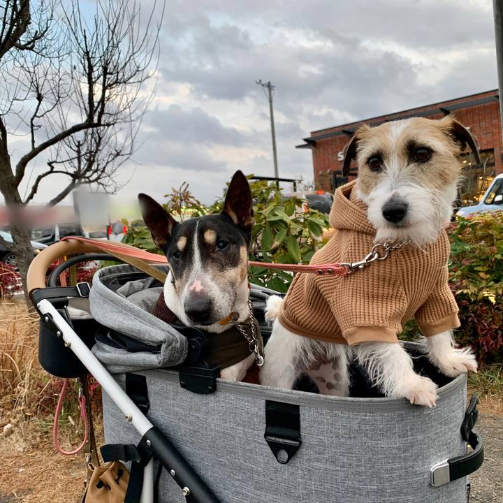 16485652 3355 4dea 8be3 8d1bb7d784e6 1610880632108