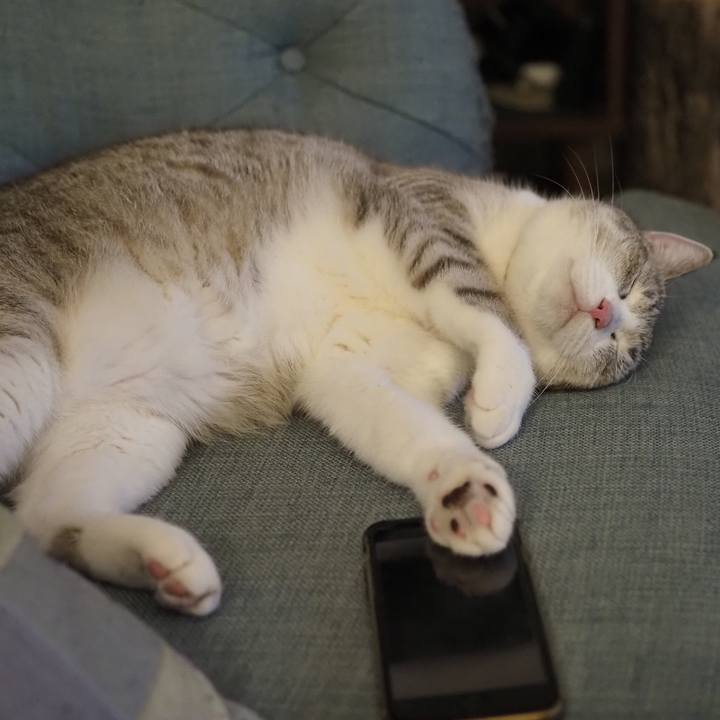 16486915 aeb0 41c2 875d b7eaba61f652 1659617805066