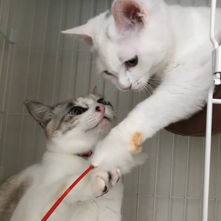 1648bb8e f2fe 4bf3 a162 4ae39b4c0e9e 1512789469725