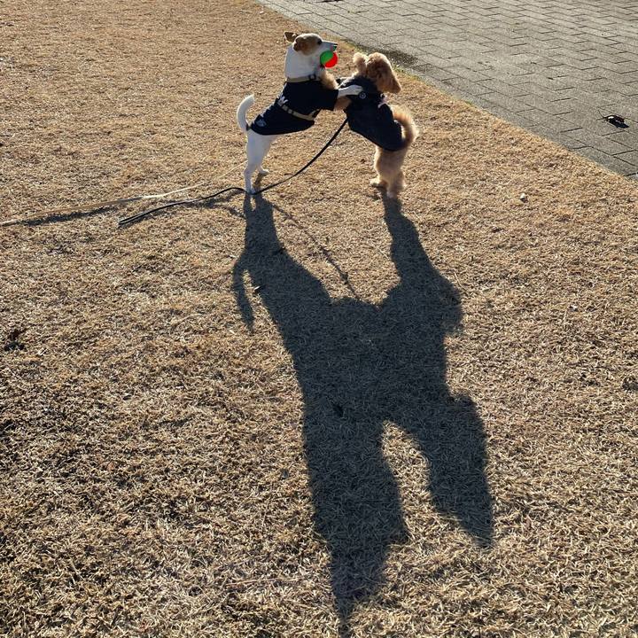 1648e7e1 be1a 4353 95f9 aa8ff9823345 1612346591466