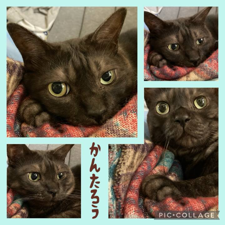 1648f998 4626 43fd bfbf 581f4bad9351 1710906160959