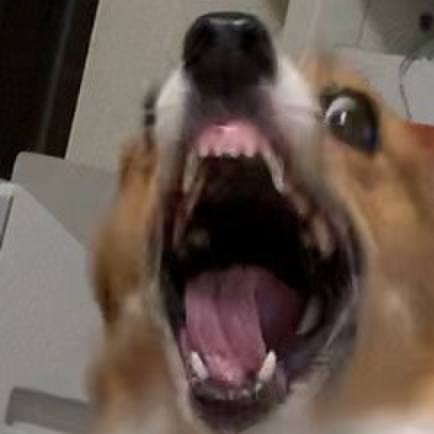 164902cd c7ee 4918 983b 909aa15bc5dc 1595719310840