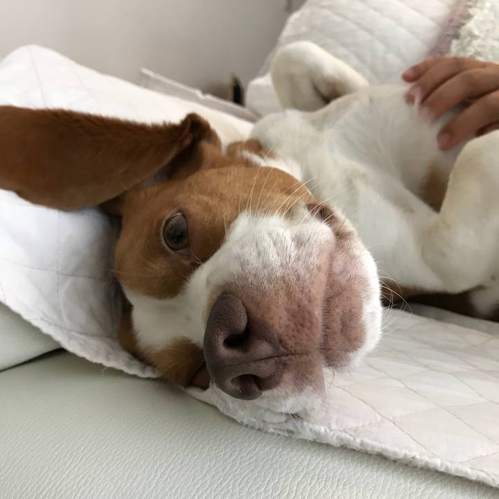 16491c5d 42cd 4369 be41 8e42a4e4486f 1526778746084