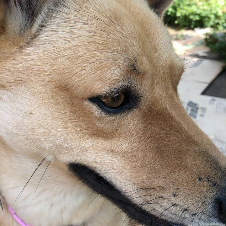 16492489 6403 49b4 81b0 e60b2dc58800 1527419307562