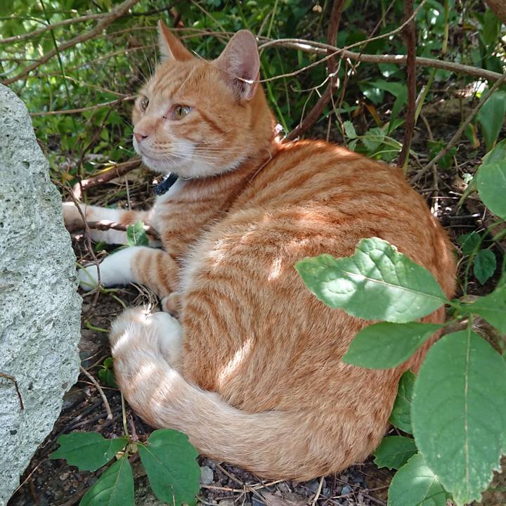 16492a53 243b 4356 8749 cf007c4e9e05 1565582374567