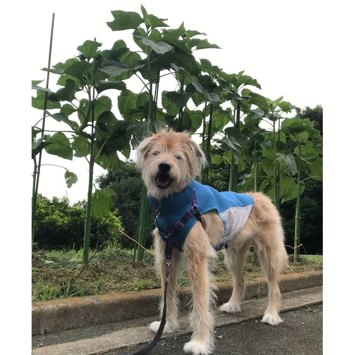 1649316f ff3a 4a40 b7ba 5aa317edb4af 1594426136168