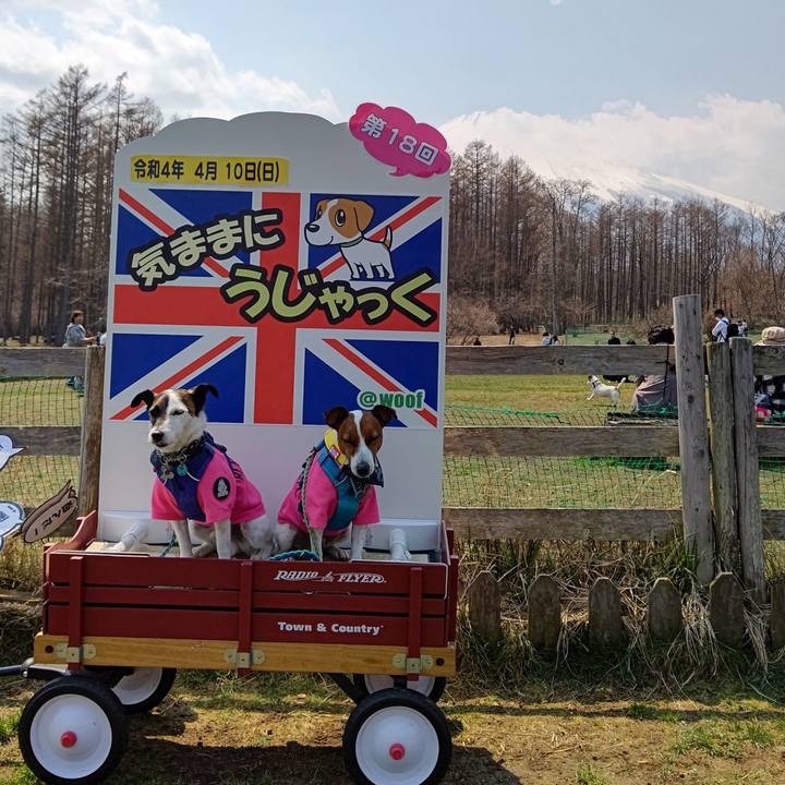 16493c3d 2b5e 4ae1 aaae 6b2766445e9b 1649589368078