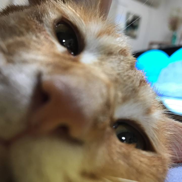 16494b9d 7a96 4335 b311 cde021d0d82f 1529745242629