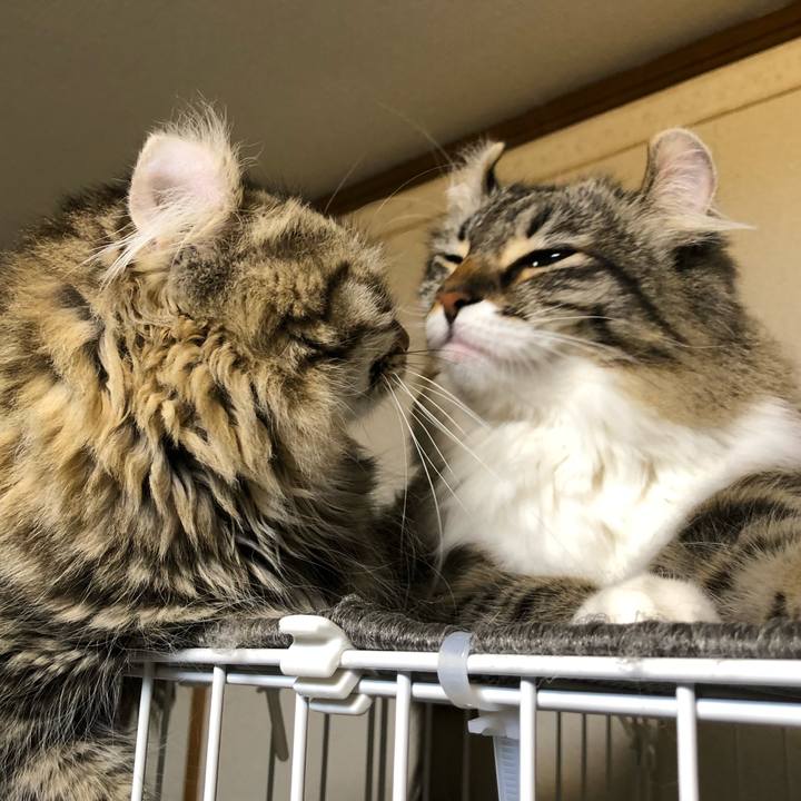 16497a46 1ec2 4d69 bc56 a69e1987336b 1534603802887