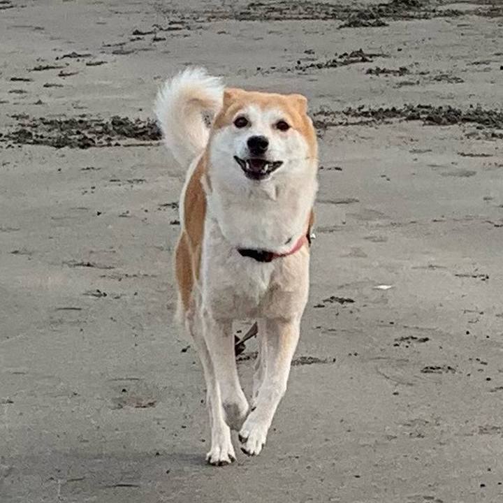 1649c60d a392 46f9 93b7 f24c615d3a06 1694086683150