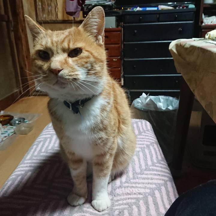 164a68de d29b 42ef b1c1 c78241477456 1605555562844