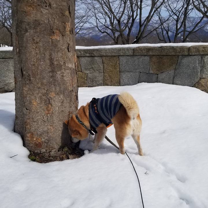 164a8913 b88d 44b5 a072 1c322afb48e6 1709177081178