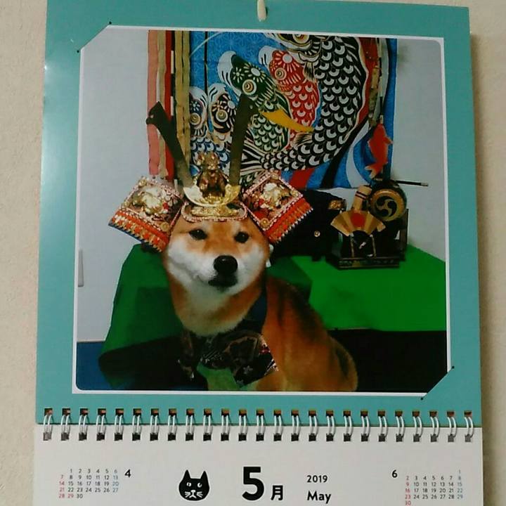 164aa048 3c2b 435f bf1b 7d933d790cf5 1556699943091