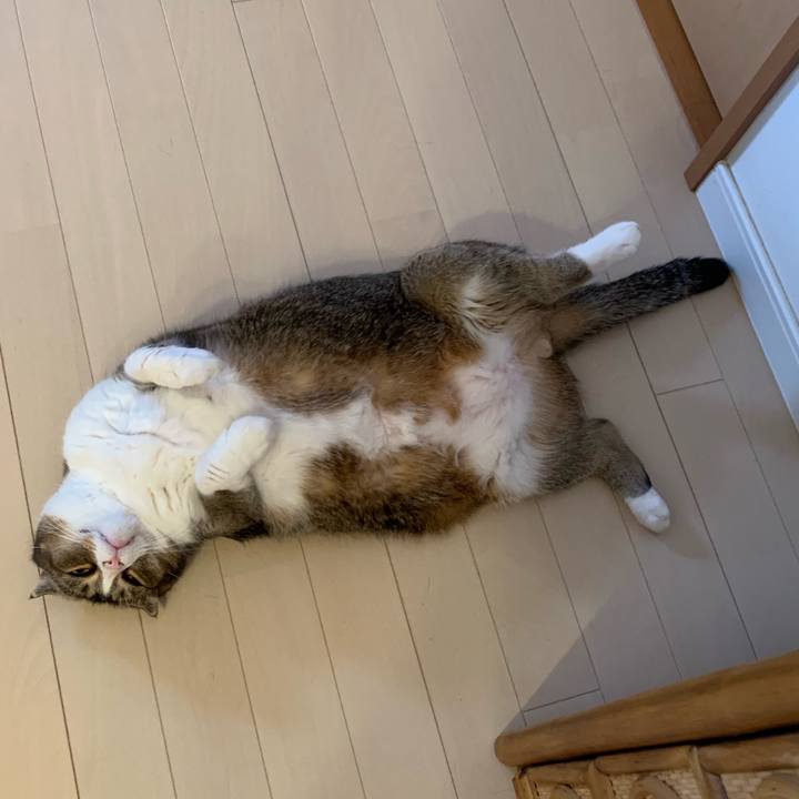 164abcba 9c2c 4513 8d6d 82674addc388 1569797017012