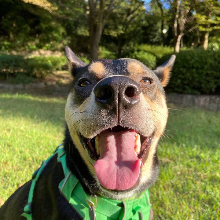 164b18b1 c022 47fa a8ea 4e61f27bfd45 1571098601068