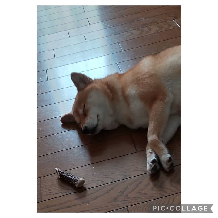 164b2862 d01d 41ad 895b 7904fe64eb86 1685308793477