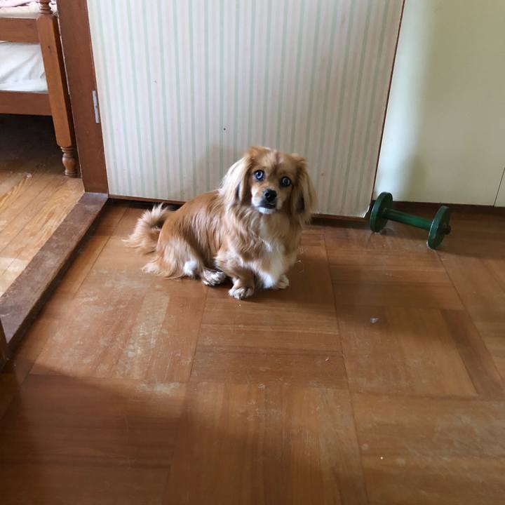 164b9344 4047 485f a8a1 9b4194e6482f 1524695217287