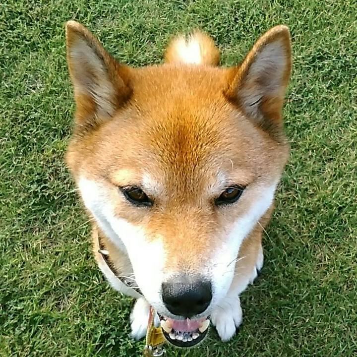 164c009d a150 4e99 ad26 5ef74c90229f 1566641409770