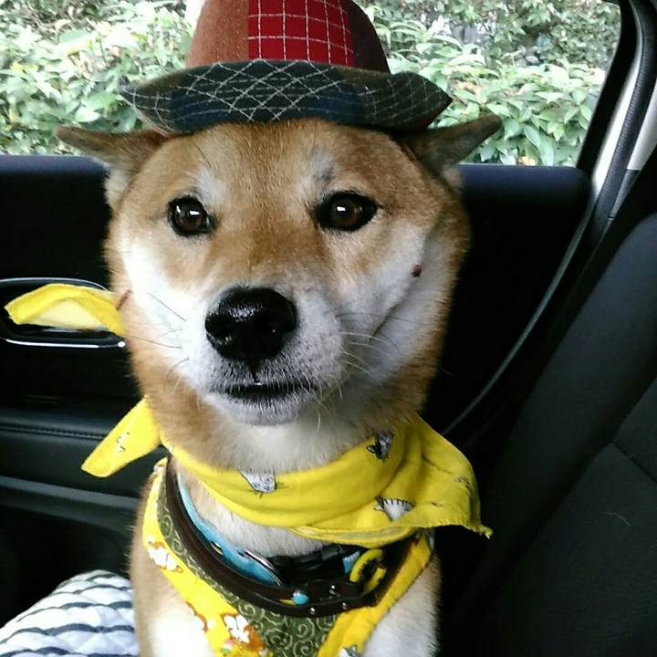 164c4ddb a4e5 4941 ae62 e501616320a6 1541895819679